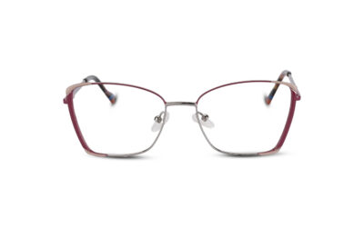 Butterfly Metal Full Rim