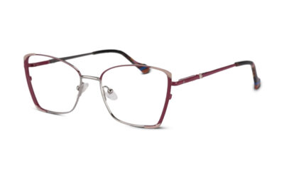 Butterfly Metal Full Rim