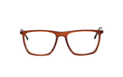 Brown Transparent Full Rim