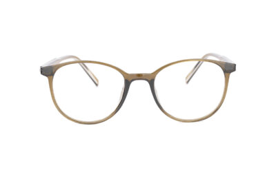 Brown Transparent Full Rim